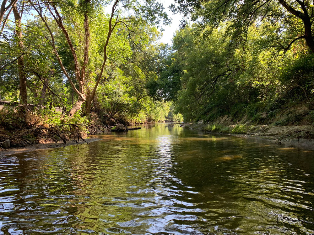 Bush Creek